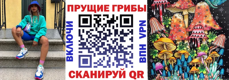 mega tor Дмитриев Галлюциногенные грибы MAGIC MUSHROOMS