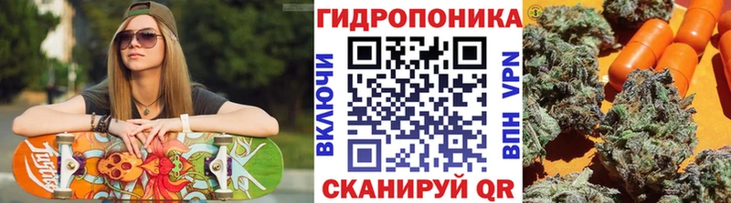 blacksprut зеркало Дмитриев Бошки марихуана гибрид